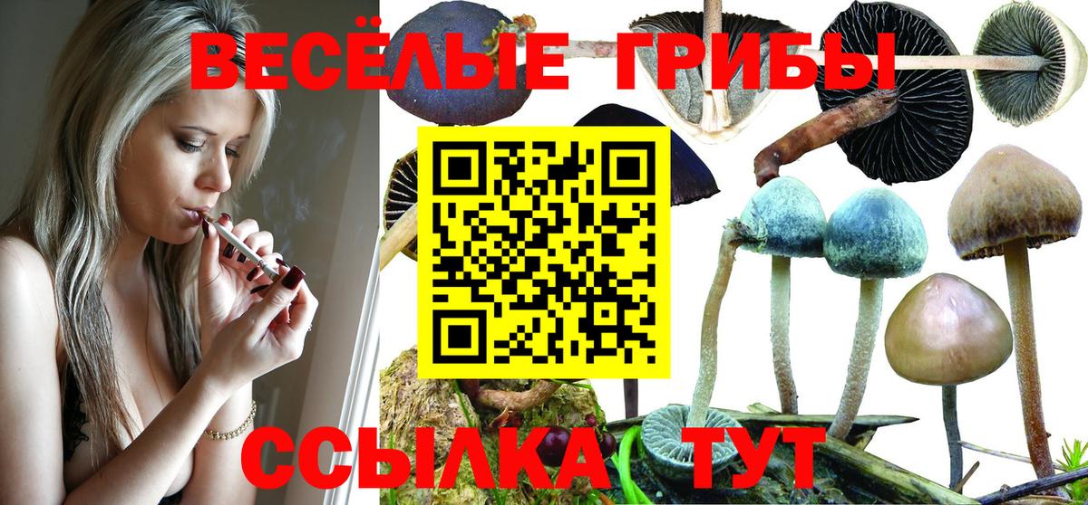 продажа наркотиков  Галлюциногенные грибы GOLDEN TEACHER  Вход с VPN  Петрозаводск 
