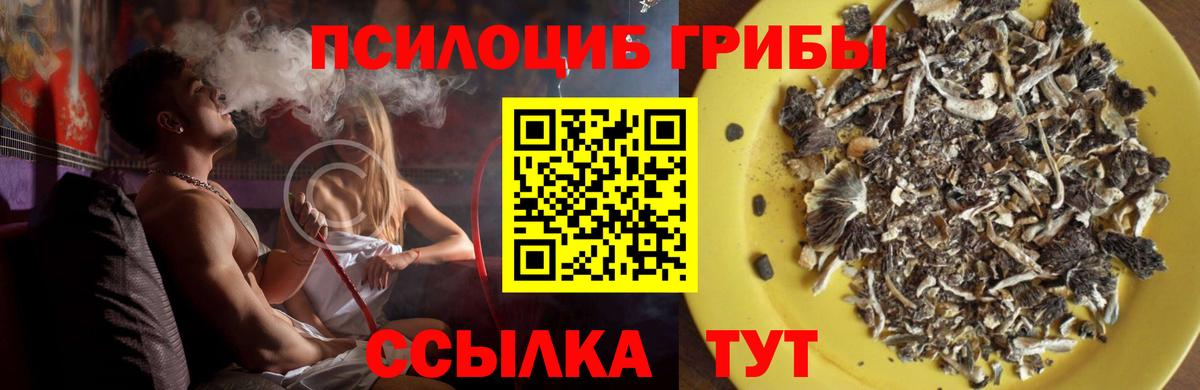 Галлюциногенные грибы Cubensis Петрозаводск
